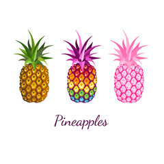 Image with three multicolored and rainbow pineapples fruit on white background. For modern print t-shirt, pride LGBT symbol, kid's design graphic element, branding, logo. Vector illustration.
