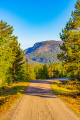 Morning sunrise with mountains cottages nature forest landscape Nissedal Norway.