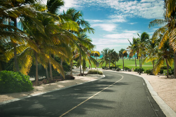 luxury golf course by the sea sandy beach on the island with coconut palms along the road