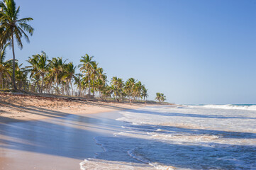 white sandy beaches on the island with coconut palms above the sea waves	