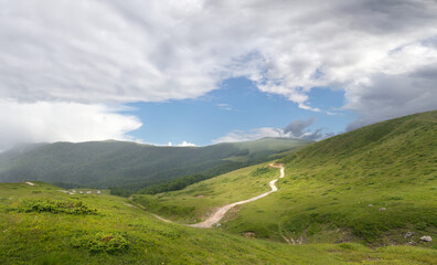 Fototapeta na wymiar Beautiful valley in National Park Biogradska Gora. Montenegro