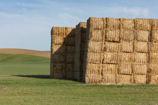 Large stack of hay bales in farmland