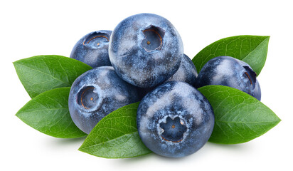 Organic blueberry isolated on white background