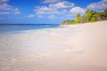 white sandy beaches on the island with coconut palms above the sea waves	