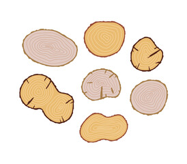 Set of hand-drawn wood slices. Flat organic style. Isolated on white background.