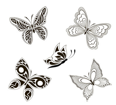 Vector background with the image set of black and white butterflies