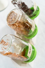 Growing sprouts in a jar