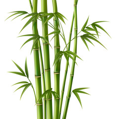 Realistic Detailed 3d Bamboo Green Decoration Elements Set. Vector
