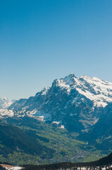 Grindelwald, Wetterhorn, Grosse Scheidegg, Oberläger, Schreckfeld, First, Männlichen, Aussicht, Wellhorn, Gistellihorn, Bärglistock, Berner Oberland, Alpen, Wanderweg, Höhenweg, Sommer, Schweiz