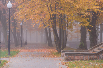Jesienny poranek w parku.