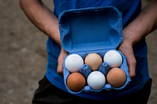 Close Up Of Person Holding Blue Carton Of Brown And White Eggs.