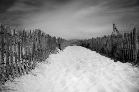 Black And White Photo Of Sandy Path Away From The Beach With Wooden Picket Fences