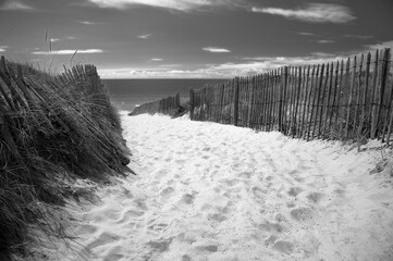 Black and white photo of path to the beach and the sea, with grass and wooden fence