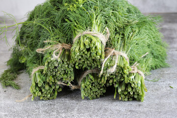 Bunches of green fresh dill close-up.