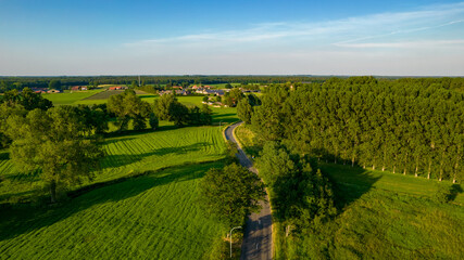 Aerial view with a drone of a spring wavy agricultural countryside landscape with plowed and unplowed fields and trees in the blue evening sky. High quality photo