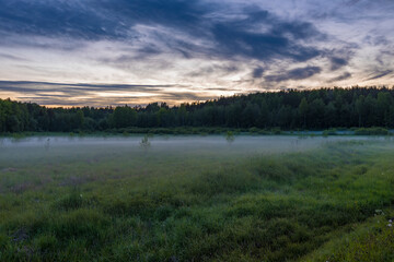 Summer evening landscape, fog near the forest. green grass in the foreground. Magical landscape with fog.