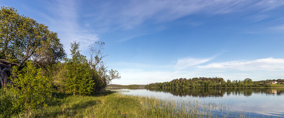 Summer evening landscape. Panoramic view of the lake. Bright greenery on a sunny day by the pond.