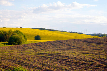 Sunny Landscape with Brown Plowed Field and Yellow Rapeseed Field. Agricultural Background.