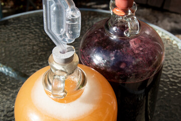 Wine Making : in the demijohn.