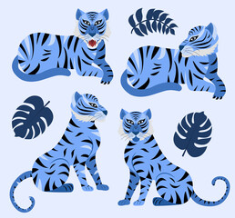 Blue tiger and tropical leaves set. Year of the Water Tiger Chinese New Year 2022. Vector illustration