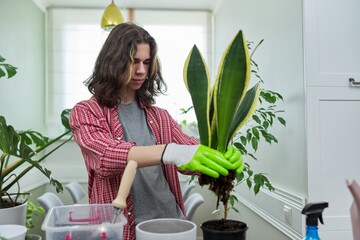 Guy teenager caring replanting indoor plants in pots