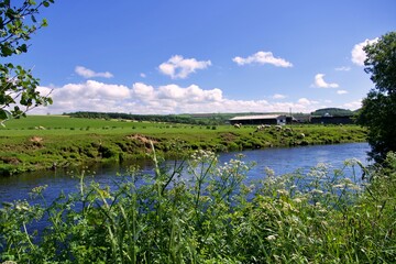 Plakat River Doon and Ayrshire countryside near the village of Dalrymple