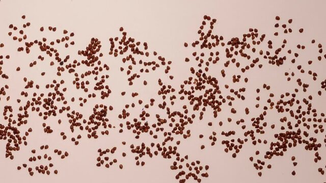 Stop-motion animation. The word buckwheat written with buckwheat groats is formed from a pile of grains