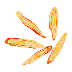 漢方生薬「甘草（カンゾウ）」手描き水彩風イラスト