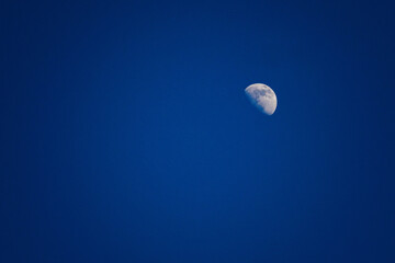 Rising moon in the blue sky.