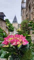 Fototapeta na wymiar Village fleuri de Rochefort en Terre - Bretagne 