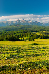 Green Pasture and Meadows and Tatras Mountains in Podhale, Poland © marcin jucha