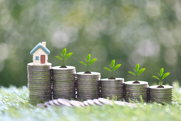 Model house with Trees growing on stack of coins money on natural green background,Business investment and real estate concept
