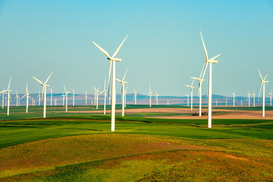 A field of wind turbines in multi colored farm fields with blue sky