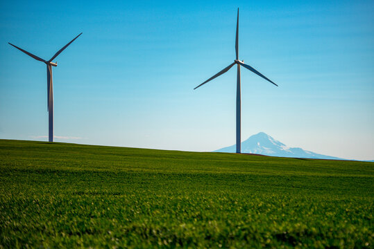 Wind turbines in a green grassy field with a blue sky and mountain