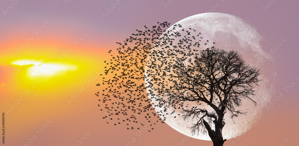 Poster lone dead tree with silhouette of birds flying, full moon rising in the background 