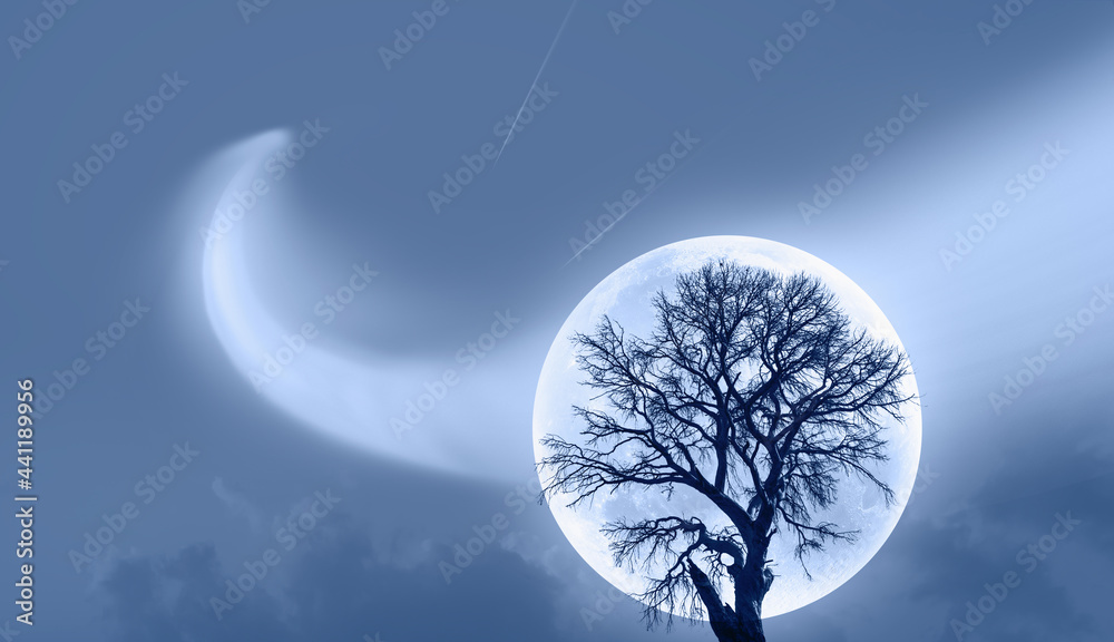 Poster Lone dead tree with super full blue Moon and Comet in the sky 
