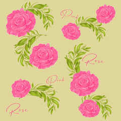 seamless pattern with pink roses and leaves.  Pink Roses on green background