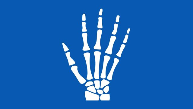 Human Skeleton hand waving.