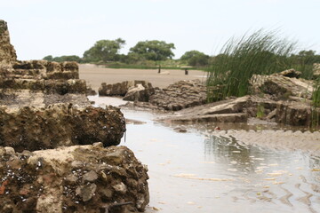 Paisaje de rio en punta indio Buenos Aires