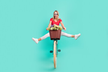 Full length body size photo woman on vintage bicycle flower basket laughing in sunglass isolated...