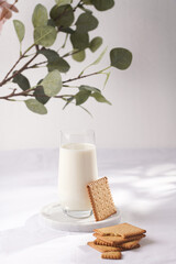 A glass of milk on a marble plate on a white table cloth and freshly baked cookies and a branch of green eucalyptus