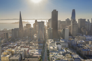 Obraz premium San Francisco Landscape Backlit During Golden Hour