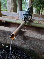 fountain in the park