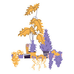 Home plants stock vector illustration. Composition of house flowers in pots. Urban jungle in living room