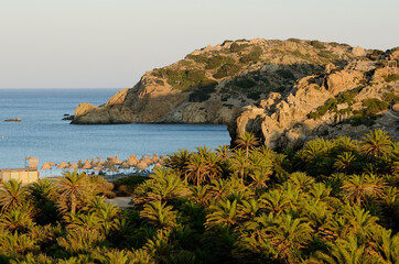 Vai beach with the famous plme forest on the northeast coast of the Greek island of Crete