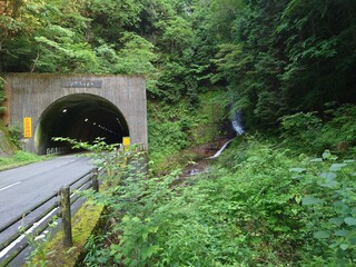 bridge over the river