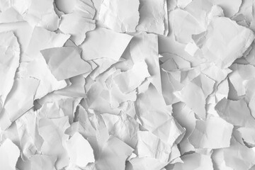 Obraz premium Crumpled torn white paper