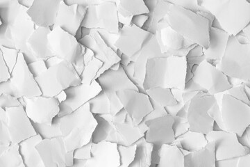 Crumpled torn white paper