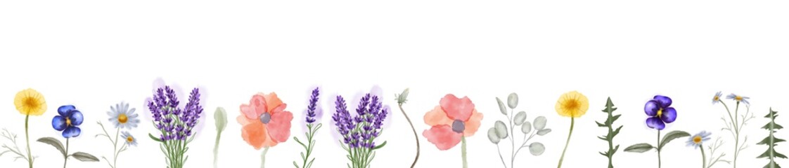 Obraz premium Horizontal banner or floral backdrop decorated with Herbs and wild botanical flowers. Set of botany vintage flowers.