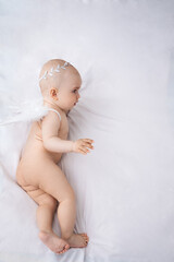 small child, infant, with angel wings on a white background.